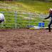 Riyad im Speedgalopp Riyad im Speedgalopp