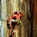 Die Crux der ersten Seillänge Die Crux der ersten Seillänge